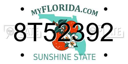 8T52392 Florida License Plate