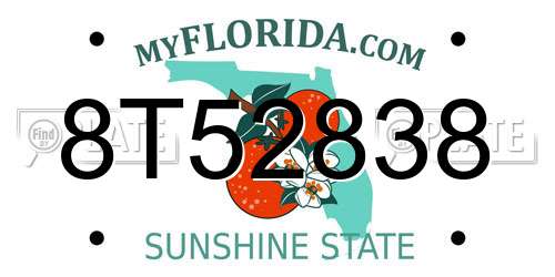 8T52838 Florida License Plate