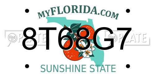 8T68G7 Florida License Plate
