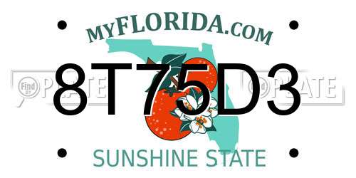 8T75D3 Florida License Plate