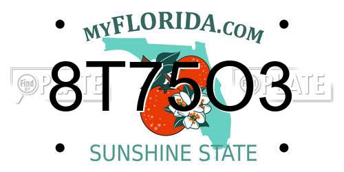 8T75O3 Florida License Plate