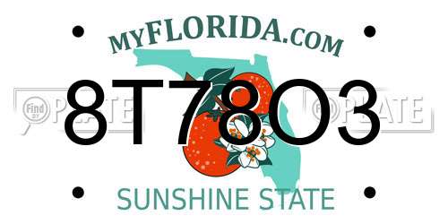 8T78O3 Florida License Plate