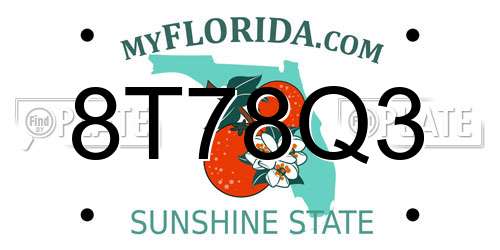 8T78Q3 Florida License Plate