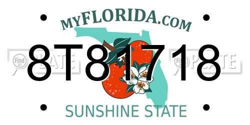 8T81718 Florida License Plate