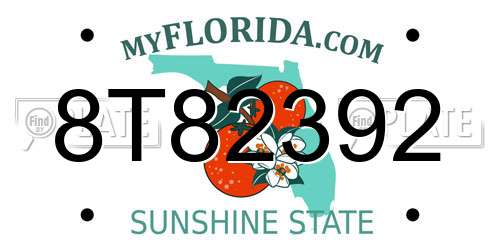 8T82392 Florida License Plate