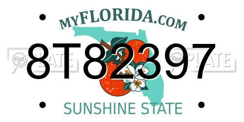8T82397 Florida License Plate
