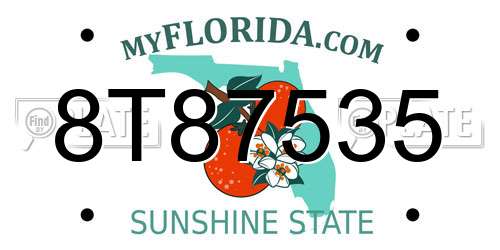 8T87535 Florida License Plate