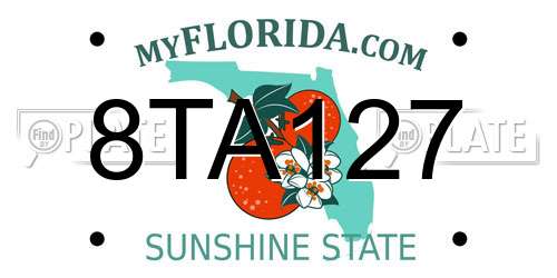 8TA127 Florida License Plate