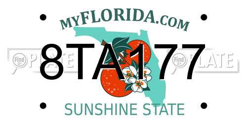 8TA177 Florida License Plate