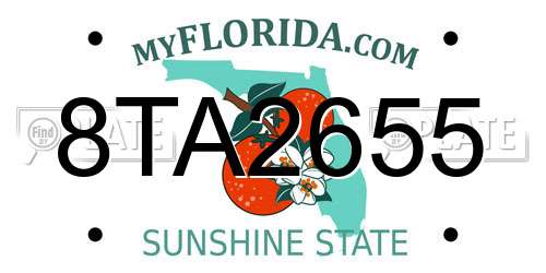 8TA2655 Florida License Plate