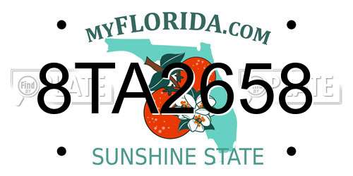 8TA2658 Florida License Plate