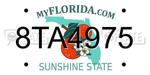 8TA4975 Florida License Plate