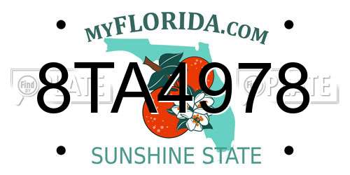 8TA4978 Florida License Plate