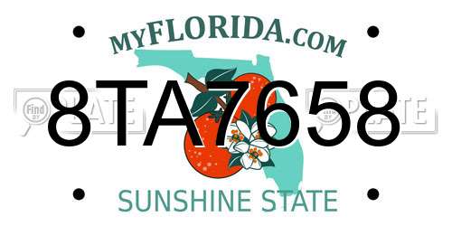 8TA7658 Florida License Plate