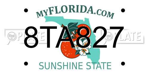 8TA827 Florida License Plate