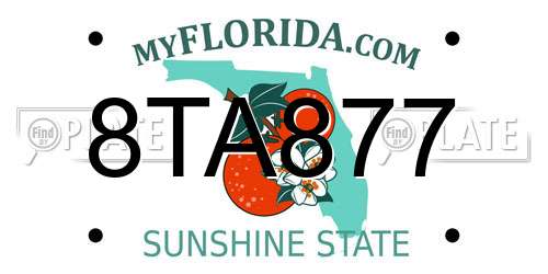 8TA877 Florida License Plate