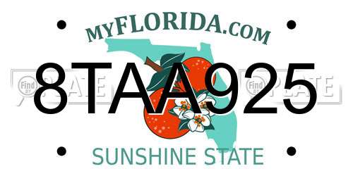 8TAA925 Florida License Plate