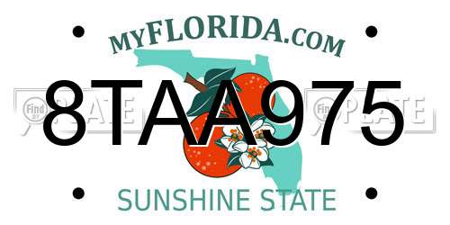 8TAA975 Florida License Plate