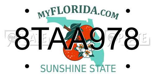 8TAA978 Florida License Plate