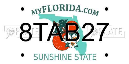 8TAB27 Florida License Plate