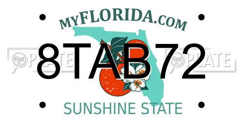 8TAB72 Florida License Plate
