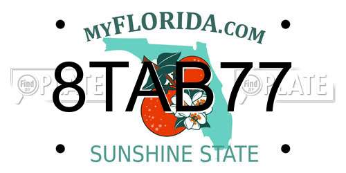 8TAB77 Florida License Plate