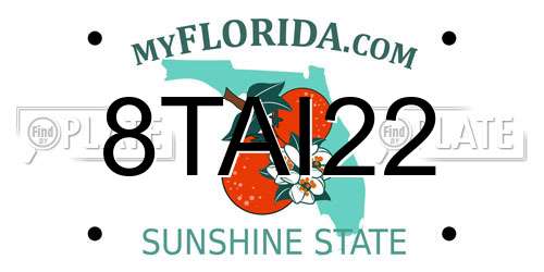 8TAI22 Florida License Plate