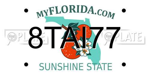 8TAI77 Florida License Plate