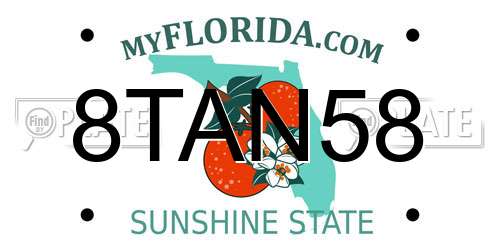 8TAN58 Florida License Plate