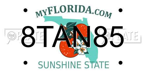 8TAN85 Florida License Plate