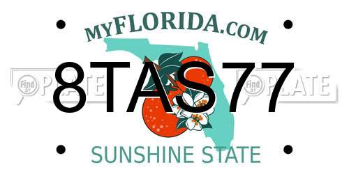 8TAS77 Florida License Plate