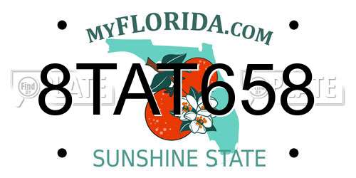 8TAT658 Florida License Plate