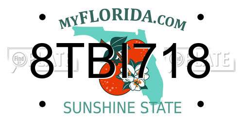 8TBI718 Florida License Plate