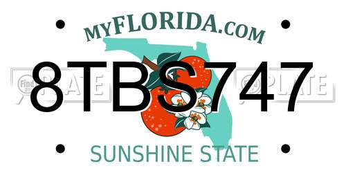 8TBS747 Florida License Plate