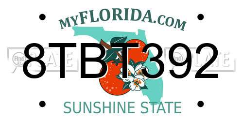 8TBT392 Florida License Plate
