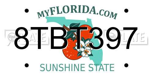 8TBT397 Florida License Plate