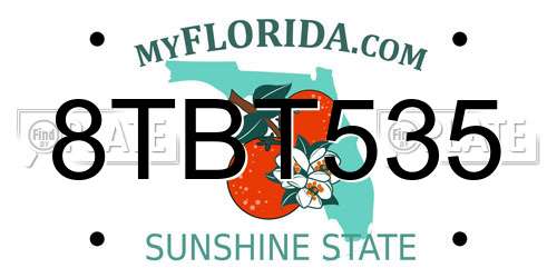 8TBT535 Florida License Plate