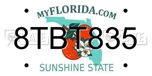 8TBT835 Florida License Plate