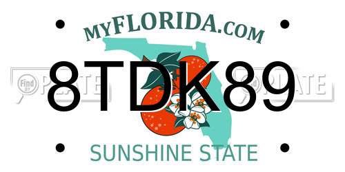 8TDK89 Florida License Plate