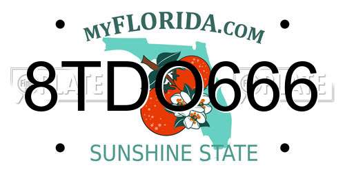 8TDO666 Florida License Plate