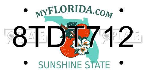 8TDT712 Florida License Plate