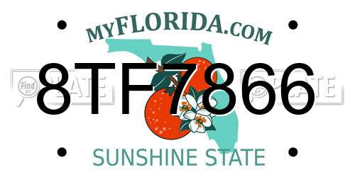 8TF7866 Florida License Plate