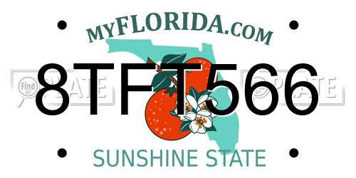 8TFT566 Florida License Plate