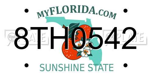 8TH0542 Florida License Plate