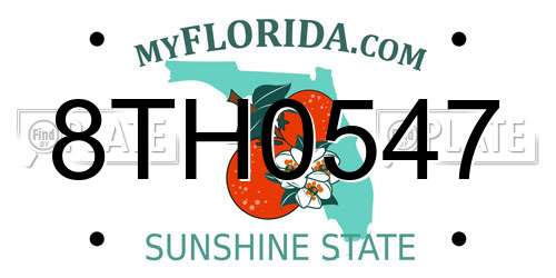 8TH0547 Florida License Plate