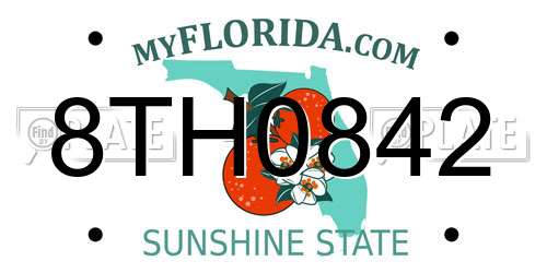 8TH0842 Florida License Plate