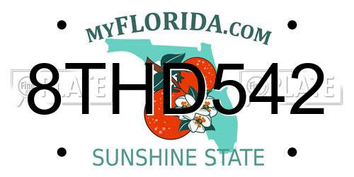 8THD542 Florida License Plate