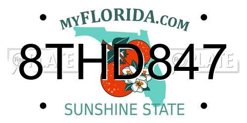 8THD847 Florida License Plate