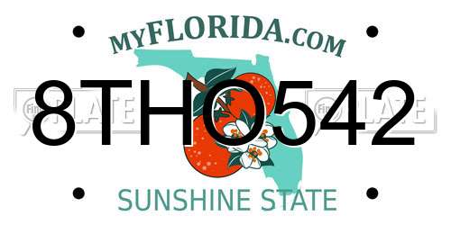 8THO542 Florida License Plate