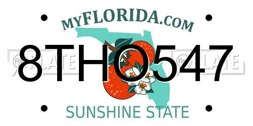 8THO547 Florida License Plate